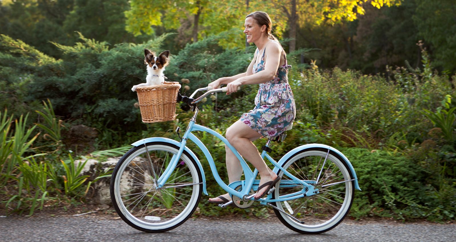 Fahrradkorb für Hunde bis 10 kg