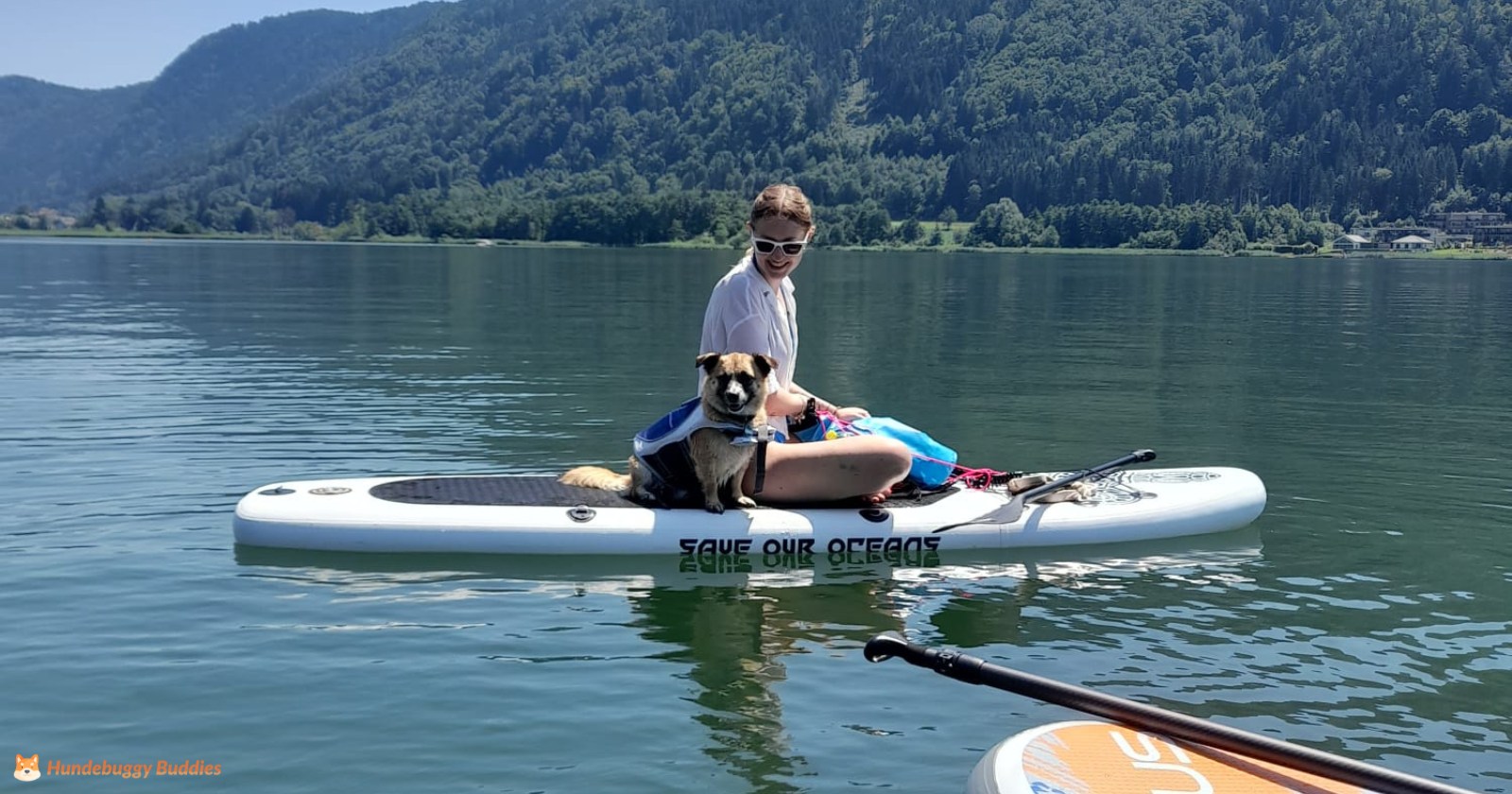Hund Stand Up Paddle